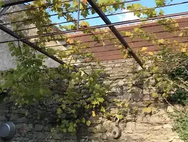 garde corps ferronnier à Saint-Dyé-sur-Loire - image 2