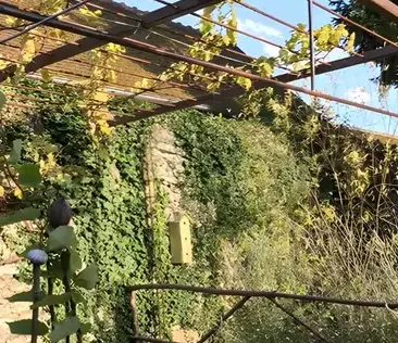 pergola sur mesure Blois-1