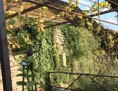 pergola sur mesure Cheverny-1