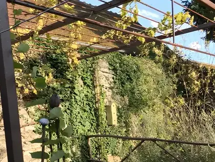 pergola sur mesure à Mont-près-Chambord - image 4