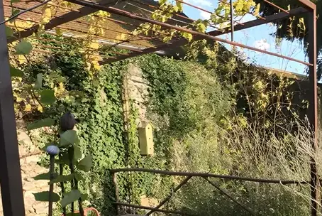 pergola sur mesure Saint-Dyé-sur-Loire-1